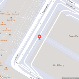 Minneapolis–Saint Paul International Airport (MSP)